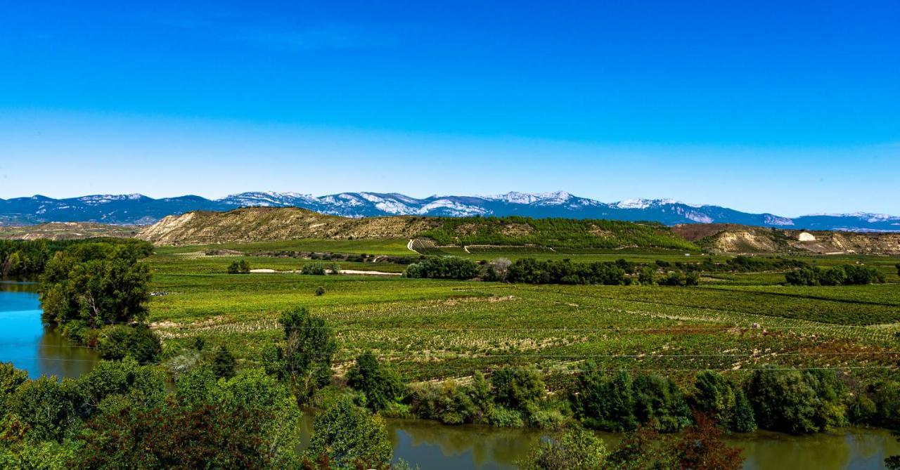 Apartamento Virgen Del Valle Cenicero Kültér fotó