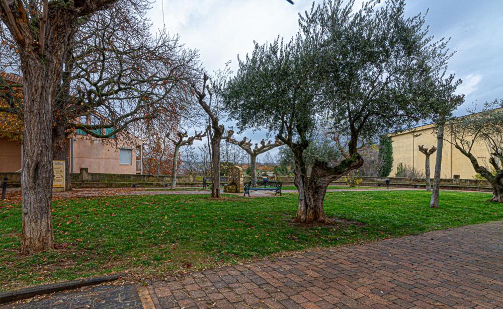 Apartamento Virgen Del Valle Cenicero Kültér fotó